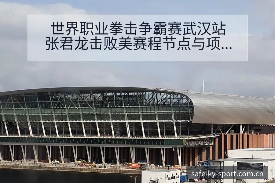 世界职业拳击争霸赛武汉站张君龙击败美赛程节点与项目格局深 - 开云体育