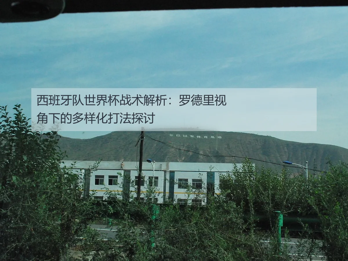 西班牙队世界杯战术解析：罗德里视角下的多样化打法探讨